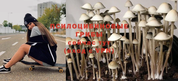 метадон Арсеньев