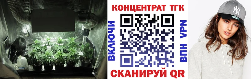 ТГК Wax  Светлоград 