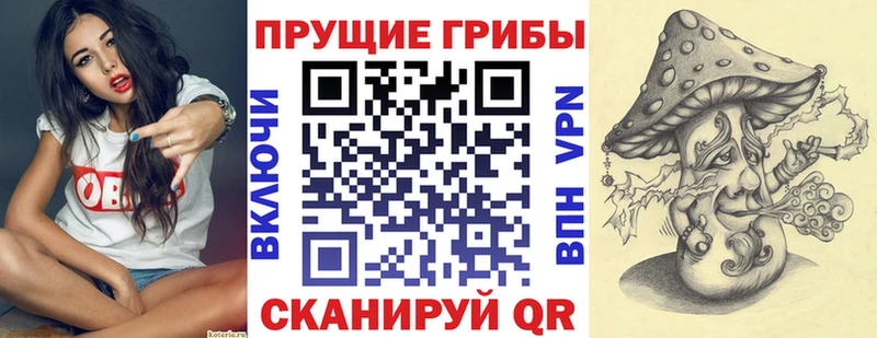 Псилоцибиновые грибы ЛСД  Светлоград 